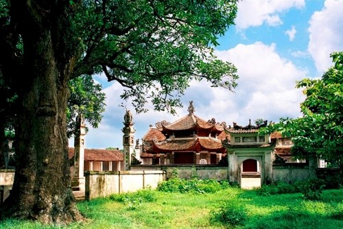 Die Lang Pagode und der ehemals größte Nadelbaumwald in Hanoi - ảnh 1